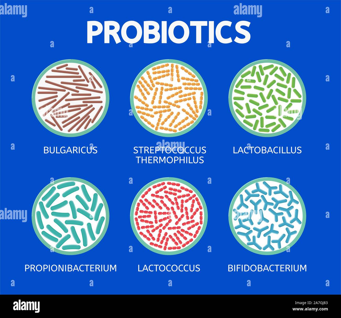 list of probiotic strains and benefits