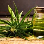 The Miraculous Medical Benefits of Marijuanas, A Comprehensive Guide medical benefits of marijuanas