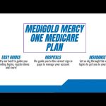Medigold Summary of Benefits, Your Ultimate Guide to Comprehensive Coverage medigold summary of benefits