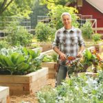 Cultivating Wellness, The Mental Health Benefits of Gardening mental health benefits of gardening