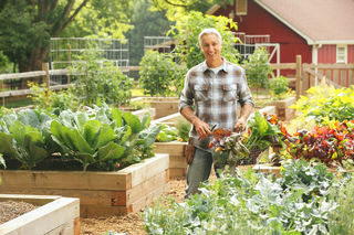 mental health benefits of gardening