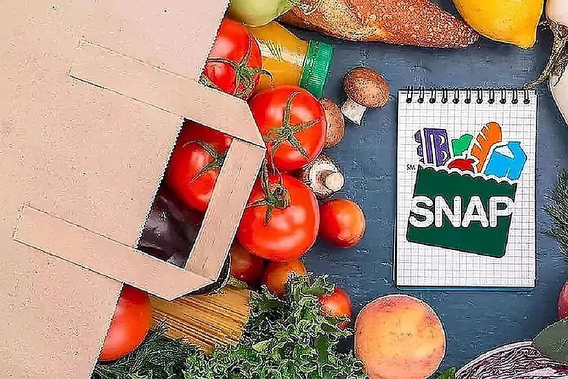 renewal of snap benefits