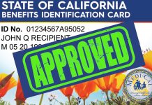 La Tarjeta de Identificación de Beneficios del Estado de California en Español, ¡Descubre sus Ventajas