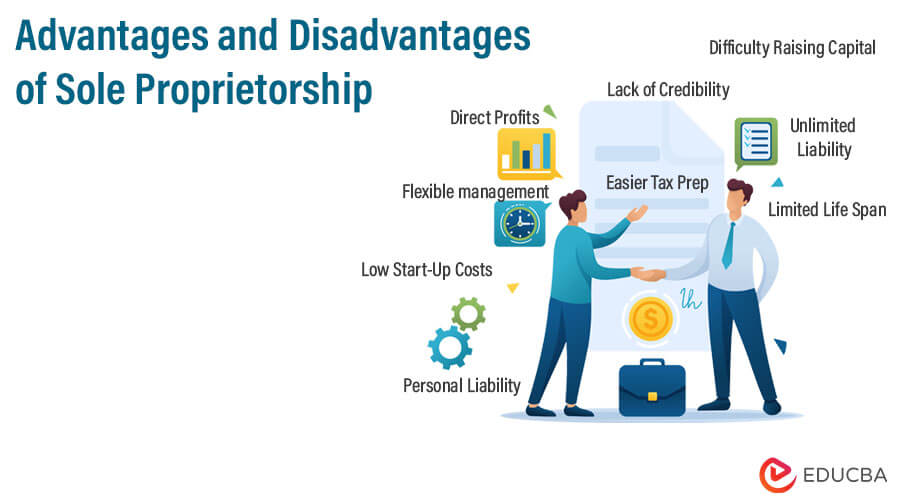 tax benefits of sole proprietorship