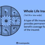 Financial Security, The Comprehensive Benefits of Whole Life Insurance what are the benefits of whole life insurance