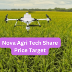 5 Key Factors to Consider Before Investing in Nova AgriTech Shares Nova Agritech share price