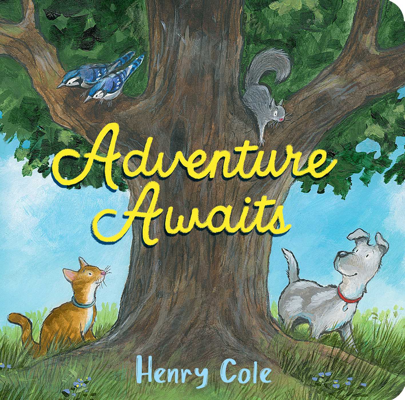 A Rhythmic Adventure Awaits