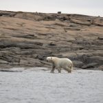 Canada’s Wonders: Frontier Canada Curates Unique Experiences for 2024 Frontier Canada Curates
