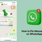 Conquer Chat Chaos: How to Pin Multiple Messages in WhatsApp How to Pin Multiple Messages in WhatsApp