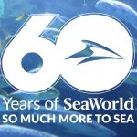 Dive into Fun: SeaWorld Celebrates 60 Years of Enchantment with a Splashtastic Anniversary Bash! SeaWorld Celebrates 60 Years