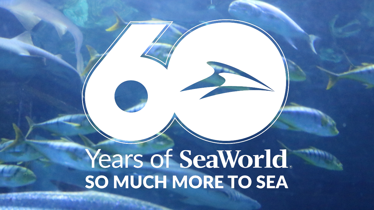 SeaWorld Celebrates 60 Years