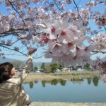 Spring with Emirates' Sakura Celebration