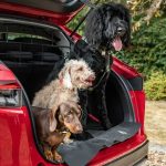 Calling All Canine Companions: Honda Unleashes the Dog-Friendly WR-V in Japan Honda Unleashes the Dog-Friendly
