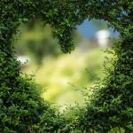 Accor Reimagines Hospitality Careers with “Hospitality is a Work of Heart” Initiative Hospitality is a Work of Heart