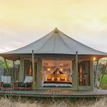 A Canvas of Comfort: Onguma Tented Camp Unveils a Refreshing Revamp Onguma Tented Camp