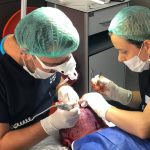 Smile Hair Clinic: A Leader in Hair Restoration with Cutting-Edge FUE Technology Smile Hair Clinic