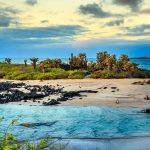Galápagos with a Purpose