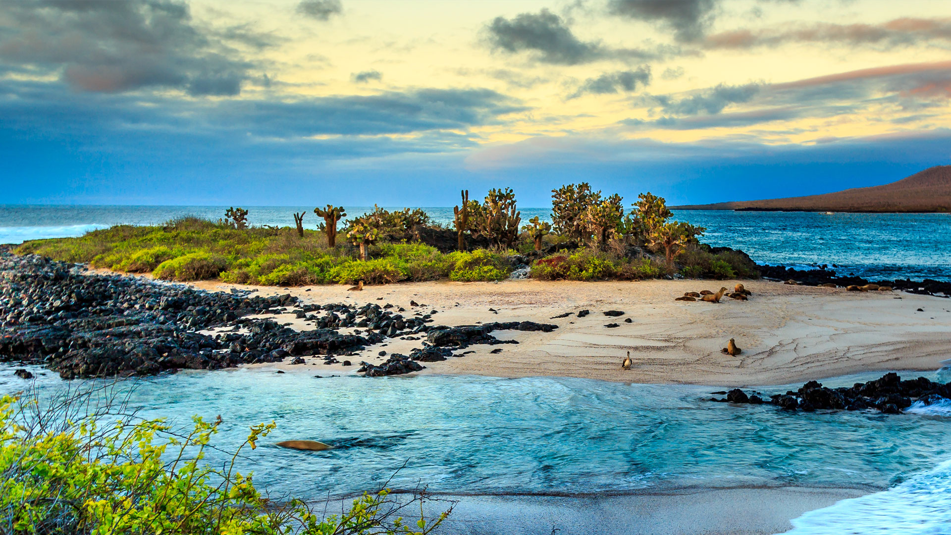 Galápagos with a Purpose