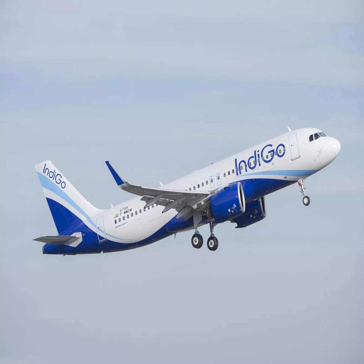 IndiGo Takes Flight