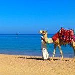 Somabay Ocean Month Celebration
