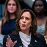 Zooms for Kamala Harris Draw Six-Digit Attendance Zooms for Kamala Harris