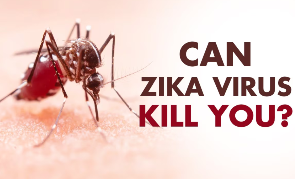 Zika virus