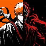 Bleach: Rebirth of Souls Bleach