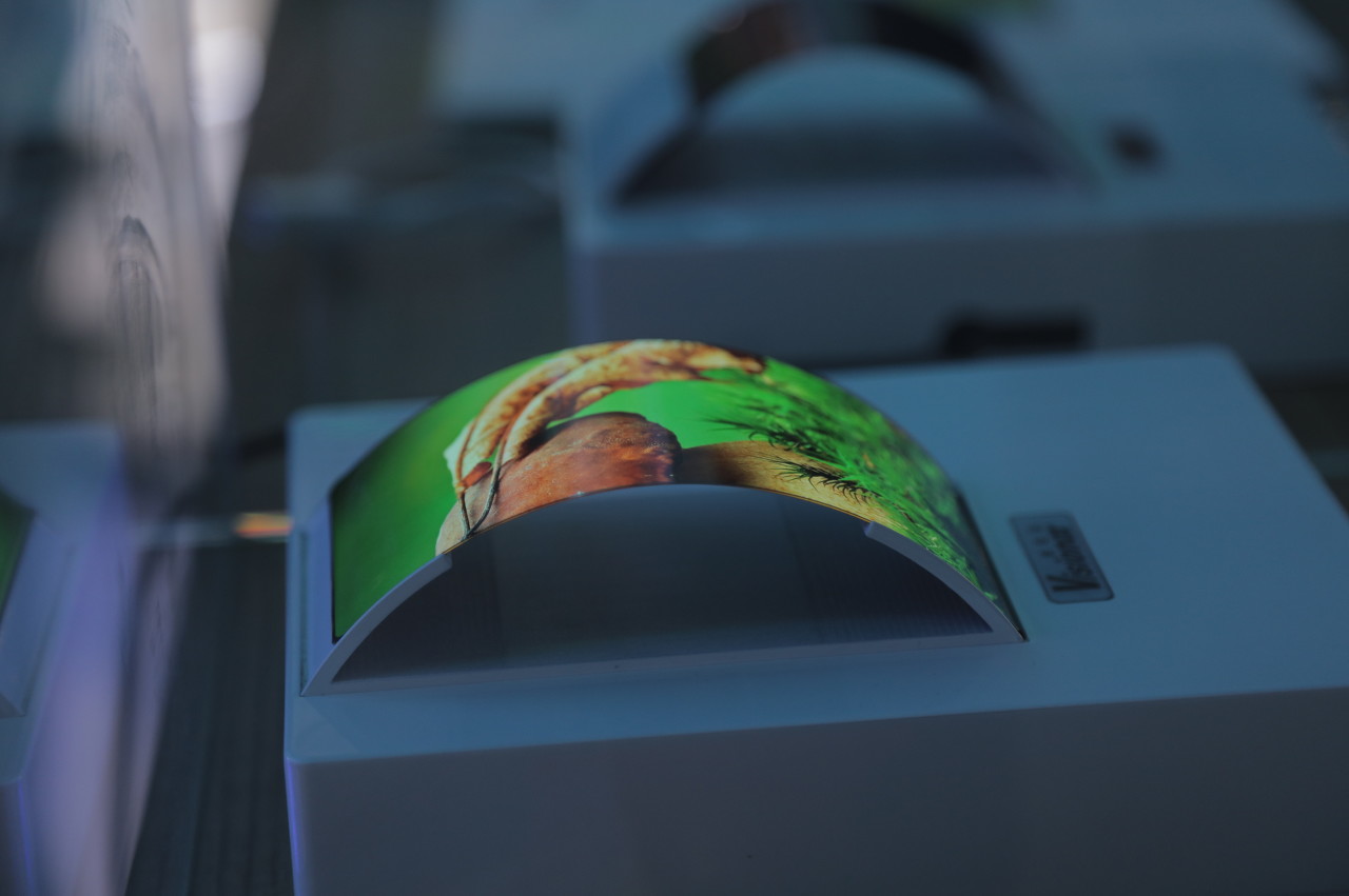 BOE's Flexible OLED Screens