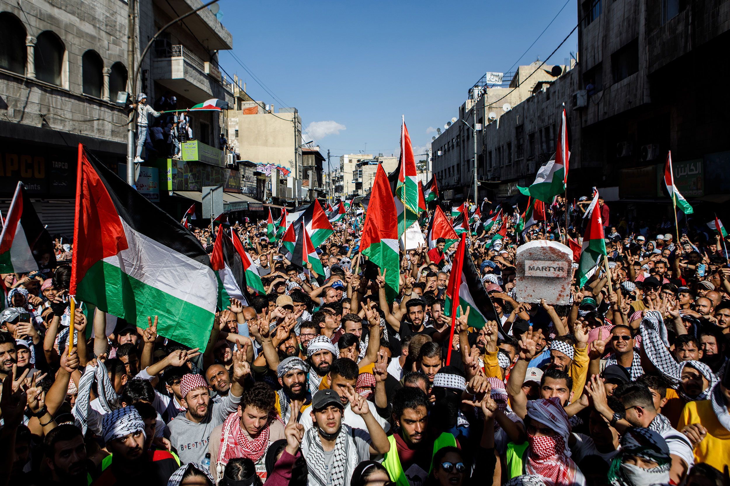 Pro-Palestinian Protest