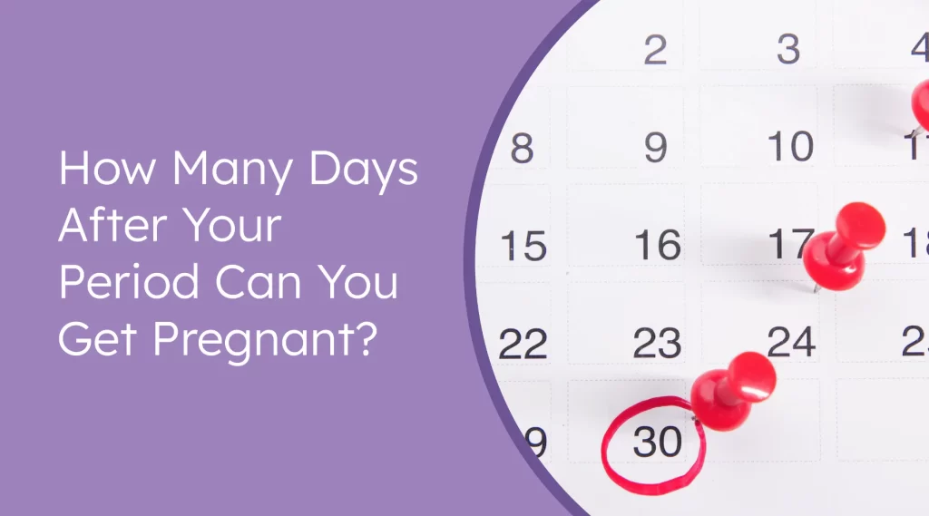 When Can You Get Pregnant?