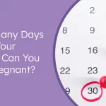 When Can You Get Pregnant? Understanding Your Most Fertile Days When Can You Get Pregnant?