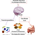 11 Strong Predictors for Dementia That May Aid Early Diagnosis Strong Predictors for Dementia That May Aid Early Diagnosis