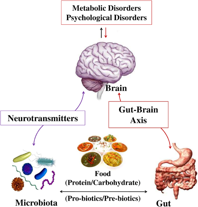 Strong Predictors for Dementia That May Aid Early Diagnosis