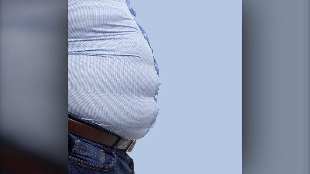 Understanding the Link Between Visceral Fat, Obesity