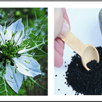 520040_1_En_14_Fig1_HTML