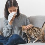 How Do Seasonal Allergies Affect Asthma? Allergies Affect Asthma