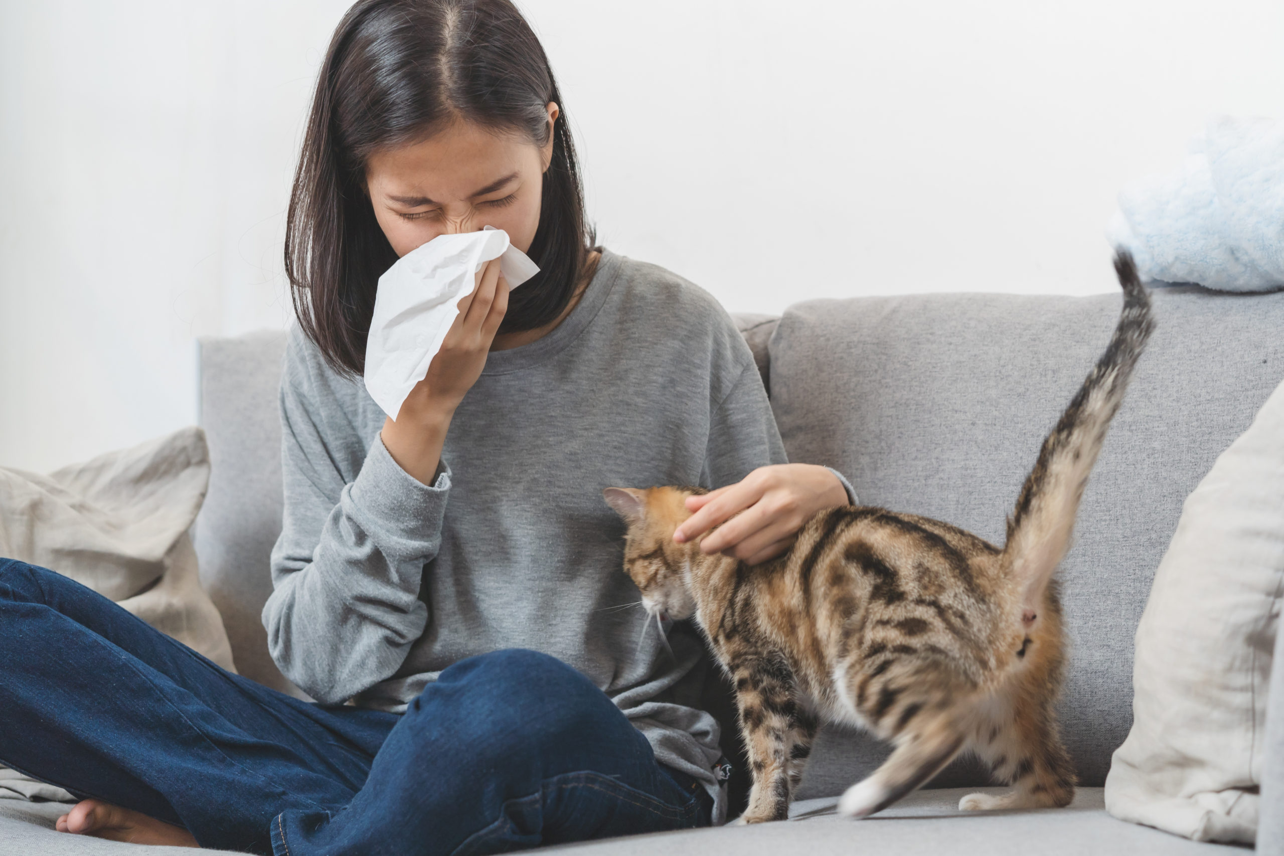 Allergies Affect Asthma