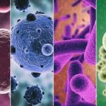 Bacterial vs. Viral Infections: Know the Difference and How to Treat Them Bacterial vs. Viral Infections