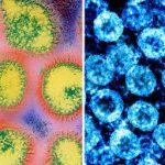 The Key Differences Between COVID-19, Flu, Allergies, and Colds Differences Between COVID-19, Flu