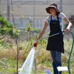 Dirt Therapy: The Surprising Benefits of Gardening for Mental Health Dirt Therapy