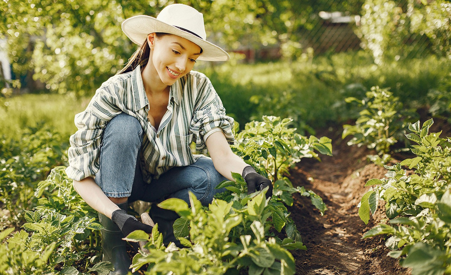 Hobbies to Boost Your Mood