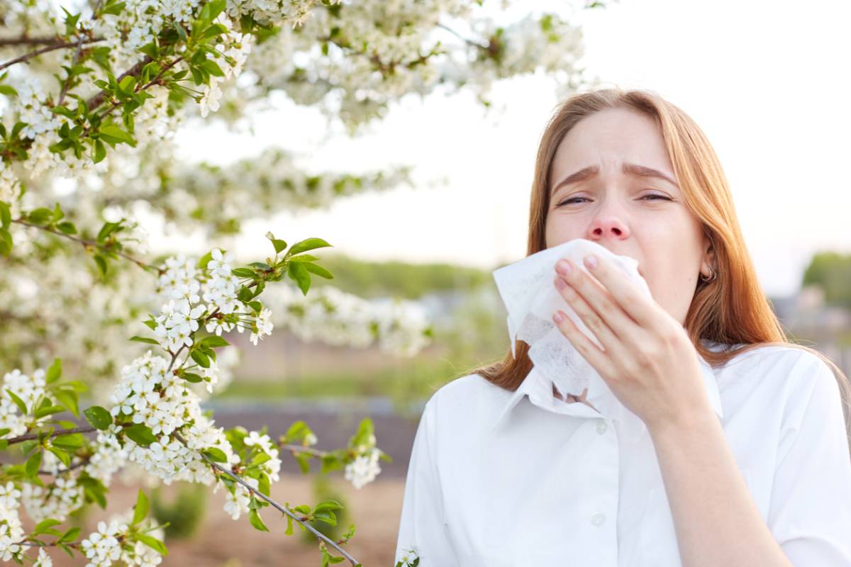 Spring Allergy Season