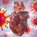 COVID-19 and Heart Health: How the Virus Poses Risks COVID-19 and Heart Health
