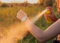 How to Protect Yourself from Insect Bites This Summer