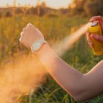 How to Protect Yourself from Insect Bites This Summer How to Protect Yourself from Insect Bites This Summer