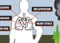 Wildfire Smoke and Lung Health