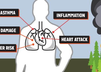 Wildfire Smoke and Lung Health