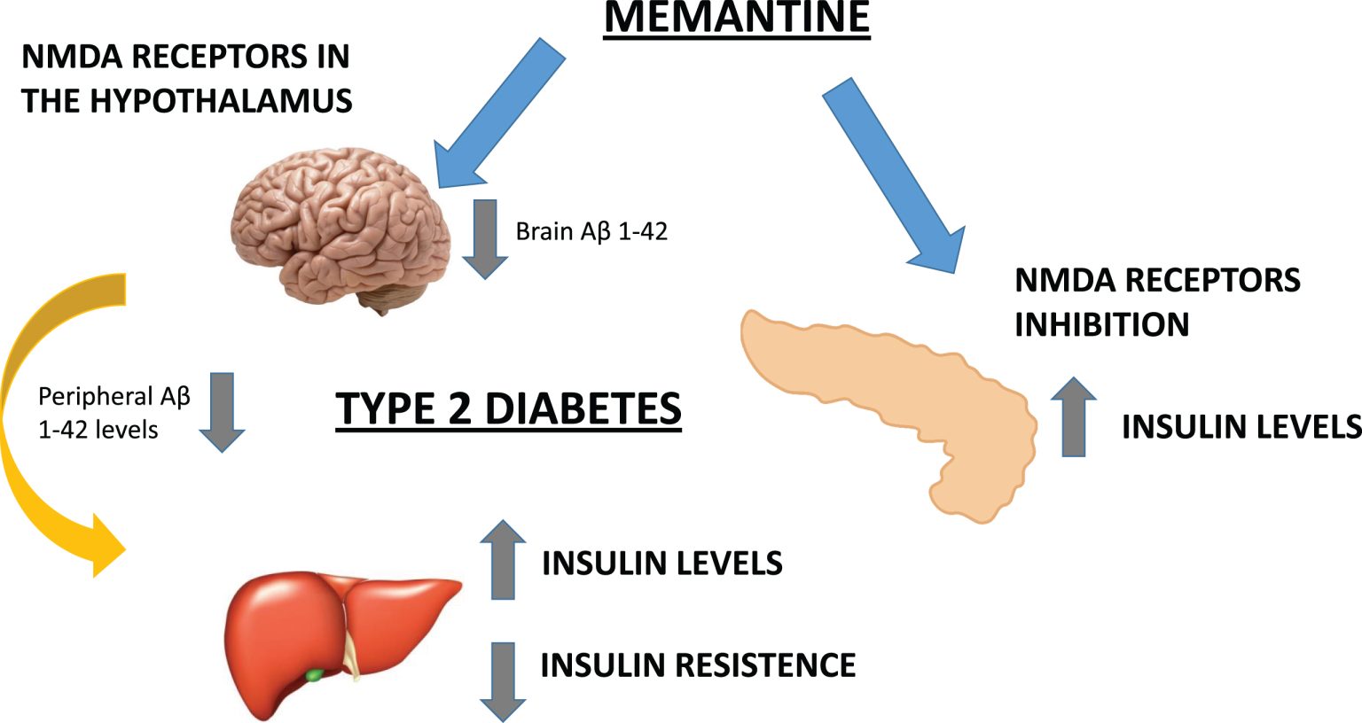 Skin Rash Memantine How Memantine Affects Daily Life