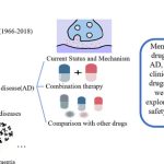 Who Should Avoid Memantine? Memantine Contraindications in Dementia Treatment