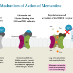 Memantine Side Effects Explained mematine side effects